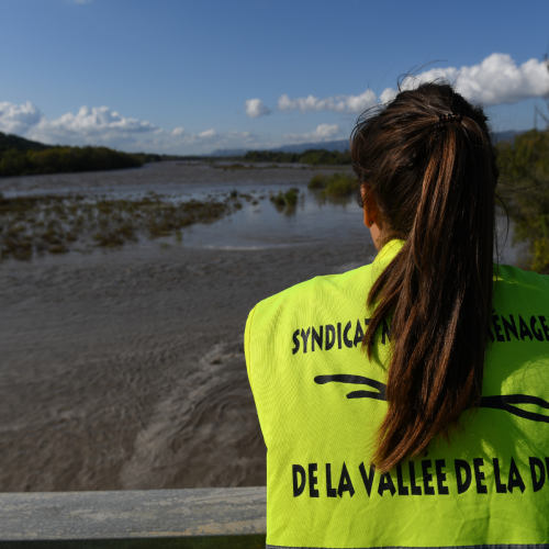 gestion crue